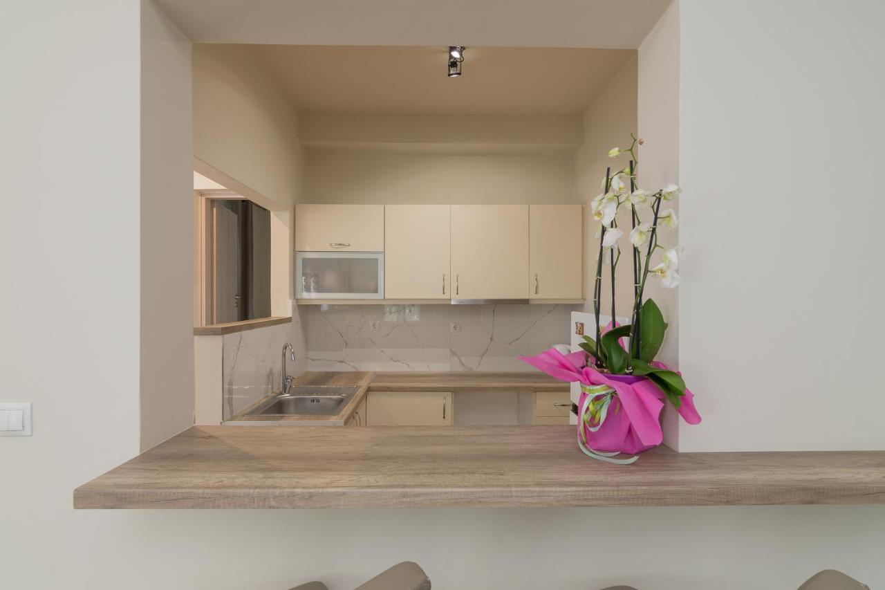 Renovated Panorama Loft: Athens Terrace Gem Atenas Exterior foto